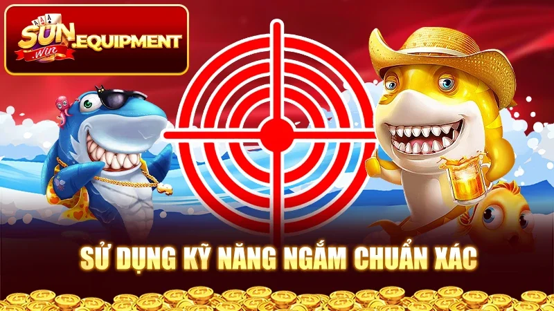 Sử dụng kỹ năng ngắm chuẩn xác